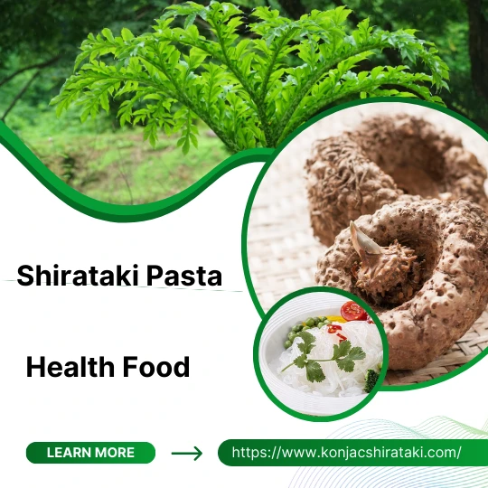 shirataki noodles shirataki noodles